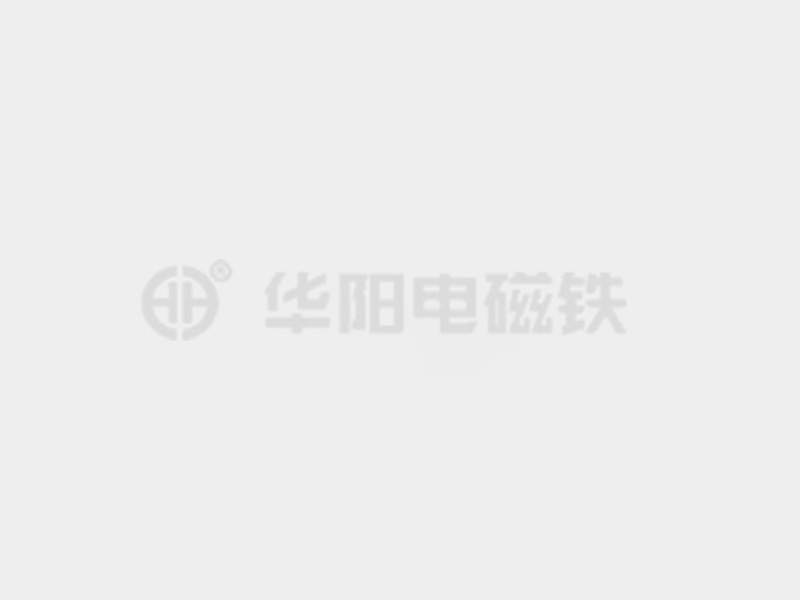 骚女人免费视频防爆电磁铁的储存和维护较佳实践！
